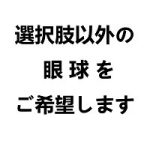 選択肢以外の眼球を希望(商品説明の画像を参考)