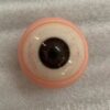 可動式+血管(今無料、元5000円)